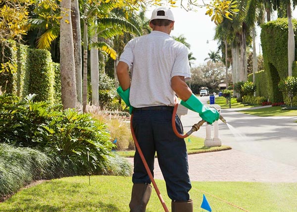 About Lake Bluff IL Pest Control